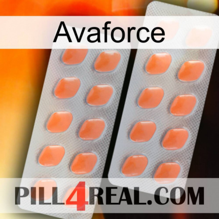 Avaforce 27